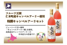北海道産 おたる特選 キャンベルアーリ ロゼワイン 720ml 2本 セット ワイン お酒 甘口 フルーティー 果実酒 キャンベルアーリ フルーツ  ご当地ワイン お取り寄せ おたる醸造 送料無料 北海道 仁木町 