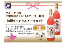 無地熨斗 北海道産 おたる特選 キャンベルアーリ ロゼワイン 720ml 2本 セット ワイン お酒 甘口 フルーティー 果実酒 キャンベルアーリ フルーツ  ご当地ワイン お取り寄せ おたる醸造 熨斗 のし 名入れ不可 送料無料 北海道 仁木町 