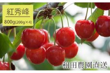 [先行受付] 北海道 仁木町産 さくらんぼ 紅秀峰 800g（400g×2パック） サクランボ チェリー フルーツ 果物 果物類 仁木町 仁木 [和田農園]	