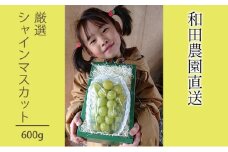 [先行受付] 厳選 北海道 仁木町産 シャインマスカット 1房 約600g 果物 ぶどう フルーツ 果物類 ブドウ シャインマスカット マスカット [和田農園]