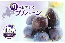 [先行受付] 【8月発送】北海道 仁木町産 おすすめプルーン1.6kg（400g×4パック） 果物類 果物 くだものフルーツ 果物詰合せ プルーン [和田農園]