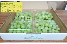 [先行受付] 北海道 仁木町産 シャインマスカット バラ詰め 約1.6kg（400g×4パック）果物 ぶどう フルーツ 果物類 ブドウ マスカット [松山商店]