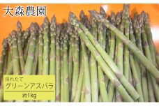 [先行受付] 北海道 仁木町産 グリーンアスパラ 1kg  アスパラガス アスパラ 野菜 やさい [大森農園]