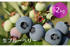 [先行受付] 北海道 仁木町産 しろうさファーム 有機栽培ブルーベリー2kg（サイズ混合）果物 くだもの ブルーベリー 詰合せ セット フルーツ ジャム [しろうさファーム]