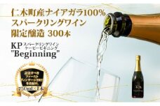 【北海道産ワイン】 限定スパークリングワイン KP”Beginning" 750ml×1本 仁木町産ナイアガラ100%使用 ワイン 白 辛口 スパークリング