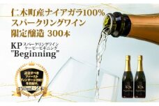 【北海道産ワイン】 限定スパークリングワイン KP”Beginning" 750ml×2本 仁木町産ナイアガラ100%使用 ワイン 白 辛口 スパークリング