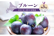 [先行受付] 【8月上旬～9月上旬出荷】北海道 仁木町産 プルーン 約3kg（500g×6パック）サイズ混合 果物類 フルーツ 果物 詰合せ セット [くだもの直売  もり園]