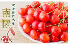 北海道 仁木町産 生産者厳選品 さくらんぼ 南陽 600g（300g×2パック）初夏 夏 味覚 デザート おやつ  サクランボ チェリー フルーツ 果物 果物類 ギフト 仁木町 仁木 [JA新おたる]