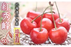 北海道 仁木町産さくらんぼ 紅秀峰 600g（300g×2パック）北海道知事賞受賞農園 デザート スイーツ 最優秀賞 おすすめ 美味しい サクランボ チェリー フルーツ 果物 果物類 ギフト 仁木町 仁木 [端農園]
