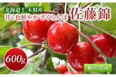 数量限定 北海道 仁木町産 甘く色鮮やか さくらんぼ 佐藤錦 600g L～2Lサイズ 低農薬 有機肥料 高級品種 大人気 高糖度 甘い 贈答用 サクランボ チェリー フルーツ 果物 果物類 ギフト 贈答品 仁木町 仁木 [鶴田農園]