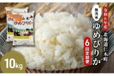 6ヵ月 定期便 銀山米研究会の無洗米＜ゆめぴりか＞10kg（5kg×2袋）【機内食に採用】 ライス 白米 精米 ブランド米 おにぎり お弁当 北海道産 産地直送 ご飯 時短 朝ごはん 夜ごはん 昼ごはん [株式会社 松原米穀]