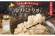6ヵ月 定期便 銀山米研究会の玄米＜ゆめぴりか＞5kg×1袋【機内食に採用】 ライス ブランド米 おにぎり お弁当 北海道産 産地直送 主食 ご飯 朝ごはん 夜ごはん 昼ごはん [株式会社 松原米穀]
