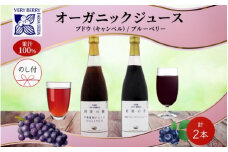 無地熨斗 オーガニック 有機 キャンベル ブルーベリー ジュース 飲み比べ 710ml 2本 群青の瞳 ぶどう 紺碧の恋 果汁 100％ お取り寄せ ギフト 熨斗 のし 北海道 仁木町