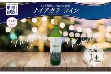 無地熨斗 ナイアガラ ブドウ ワイン 720ml 1本 熨斗付き 葡萄 ぶどう 果実 果実酒 お酒 アルコール 白ワイン 辛口 お取り寄せ ギフト gift ボトル 紙箱 御中元 お中元  熨斗 のし 自然農園