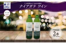 無地熨斗 ナイアガラ ブドウ ワイン 720ml 2本 セット 熨斗付き 葡萄 ぶどう 果実酒 お酒 アルコール 白ワイン 辛口 お取り寄せ ギフト gift ボトル 紙箱 御中元 お中元 熨斗 のし 自然農園