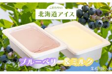 こだわりの北海道アイス 業務用セット〈ブルーベリー＆ミルク〉2L×各1個  スイーツ デザート 冷たい 砂糖不使用 無香料 無着色料 乳化剤不使用 GI値が上がりにくい 素材本来の風味 甘さ控えめ さっぱり [株式会社 自然農園]