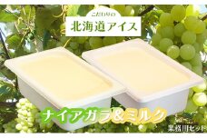 こだわりの北海道アイス 業務用セット〈ナイアガラ＆ミルク〉2L×各1個  スイーツ デザート 冷たい 砂糖不使用 無香料 無着色料 乳化剤不使用 GI値が上がりにくい 白ぶどう 甘さ控えめ さっぱり [株式会社 自然農園]