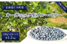 ［先行受付］【有機JAS認証】北海道仁木町産オーガニック生ブルーベリー 100g×12パック 計1.2kg 果物 フルーツ 有機栽培 安心安全 樹上完熟 手摘み [株式会社 自然農園]