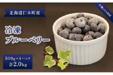 【有機JAS認証】北海道仁木町産オーガニック冷凍ブルーベリー 500g×4パック 計2.0kg 果物 フルーツ 冷凍フルーツ 有機栽培 樹上完熟 手摘み トッピング  [株式会社 自然農園]