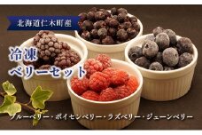 北海道仁木町産 冷凍 ベリーセット〈ブルーベリー・ボイセンベリー・ラズベリー・ジューンベリー〉各140g 計5パック 果物 フルーツ 冷凍フルーツ 有機栽培 樹上完熟 ひんやりスイーツ ジャム 製菓 加工用  [株式会社 自然農園]