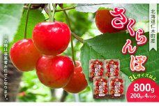 北海道 仁木町産 さくらんぼ 800g（200g×4パック） 2Lサイズ以上 「佐藤錦」もしくは「紅秀峰」 旬の果物 産地直送 サクランボ チェリー フルーツ 果物 果物類 ギフト 北海道産 仁木町 仁木  [JA新おたる]