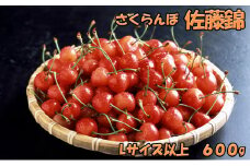 北海道 仁木町産 生産者厳選品 さくらんぼ 佐藤錦 600g（300g×2パック）Lサイズ以上 旬の果物 産地直送 サクランボ チェリー フルーツ 果物 果物類 ギフト 仁木町 仁木 [JA新おたる]