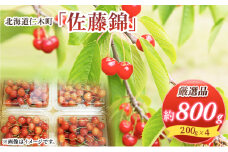 北海道 仁木町産 厳選品 さくらんぼ 佐藤錦 800g (200g×4パック) Lサイズ以上  旬 桜桃 産地直送 サクランボ チェリー フルーツ 果物 果物類 ギフト 仁木町 仁木 [松山商店]