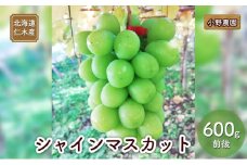 [先行受付] 北海道 仁木産 シャインマスカット 600g前後  果物 ぶどう フルーツ おやつ デザート 食後 有機肥料 農薬低減 国産 直送 産地直送 食べ物 食品 北海道産 [株式会社　小野農園]