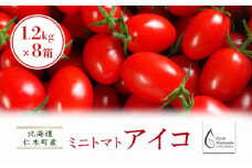 北海道仁木町産ミニトマト【アイコ】1.2kg×8箱 サイズ混載 ［栽培期間中 農薬不使用］ 高糖度 果肉 厚い かため 日持ち 完熟 グルタミン酸 生食 加熱調理 農薬節約栽培 [Farm Watanabe]