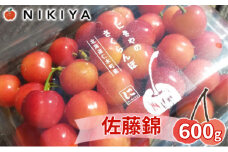 北海道 仁木町産 さくらんぼ 佐藤錦 600g（300g×2）Lサイズ以上 ジューシー 旬のフルーツ 旬の果物 国産 日本産 サクランボ チェリー フルーツ 果物 果物類 ギフト 仁木町 仁木 [ジャパーナプランニング株式会社]