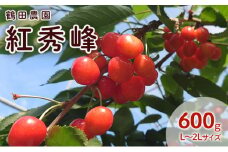 数量限定 北海道 仁木町産 果肉がプリ しっかり大粒 甘い さくらんぼ 紅秀峰 600g Lサイズ以上 高糖度 リピーター 朝採り 甘み ジューシー サクランボ チェリー フルーツ 果物 果物類 ギフト 仁木町 仁木 [鶴田農園]