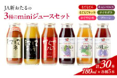 先行受付 JA新おたるのminiジュースセット180ml×30本 果汁飲料 渋み 甘み 酸味 調和 こだわり 濃厚 ストレート [JA新おたる]