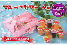 【2箱】フルーツゼリー 全24個（北海道仁木町産果実使用）ゼリー ブドウ ぶどう リンゴ りんご おやつ おかし スイーツ フルーツ 果物 [JA新おたる]