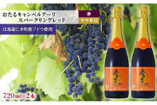赤ワイン720ml×2本 おたるキャンベルアーリ スパークリングレッド 赤/やや甘口 北海道 仁木町 ブドウ ぶどう グレープ お酒 ワイン スパークリング 赤 甘口 やや甘口 フルーツ アルコール 甘い 爽やか 香り 食事 人気 BBQ アウトドア [JA新おたる]