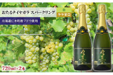 白ワイン720ml×2本「おたるナイヤガラ スパークリング」（白/やや甘口） 北海道 仁木町 ブドウ ぶどう グレープ お酒 ワイン スパークリング 白 甘口 やや甘口 フルーツ アルコール 果実酒 フルーティー 泡 酸味 炭酸 甘さ  [JA新おたる]