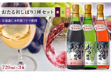 3種ワイン飲み比べ 720ml×3本 おたる初しぼり3種セット 赤・ロゼ/やや甘口・白/甘口 北海道 仁木町 ブドウ ぶどう グレープ お酒 ワイン 赤 白 ロゼ 甘口 やや甘口 フルーツ アルコール 果実酒 フルーティ辛口 [JA新おたる]