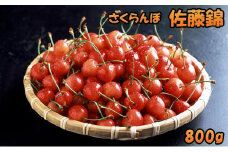 北海道 仁木町産 さくらんぼ 佐藤錦 800g （200g×4パック） 美味しい 人気 おすすめ お裾分け サクランボ チェリー フルーツ 果物 果物類 ギフト 仁木町 仁木 [JA新おたる]