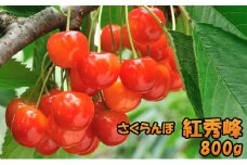北海道 仁木町産 さくらんぼ 紅秀峰 800g（200g×4パック） 美味しい 人気 おすすめ お裾分け サクランボ チェリー フルーツ 果物 果物類 ギフト 仁木町 仁木 [JA新おたる]