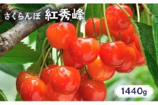 先行受付 北海道 仁木町産 さくらんぼ 紅秀峰 1440g（180g×8パック） 美味しい 人気 おすすめ お裾分け サクランボ チェリー フルーツ 果物 果物類 仁木町 仁木 [JA新おたる]