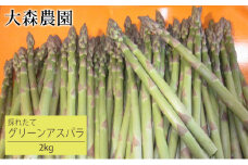 [先行受付] 北海道 仁木町産 グリーンアスパラ 2kg アスパラ 野菜 新鮮 食材 春野菜 旬の野菜 北海道産 北海道野菜 国産 日本産 [大森農園]