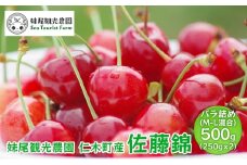 [先行受付] 北海道 仁木町産 さくらんぼ 「佐藤錦」 バラ詰め M-L混合 500g (250g×2パック)　国産 旬のフルーツ 旬の果物 デザートサクランボ チェリー フルーツ 果物 果物類 仁木 [フルーツショップ妹尾観光農園] 