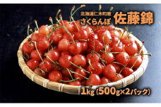 北海道 仁木町産 生産者厳選品 さくらんぼ 佐藤錦 1kg（500g×2パック） 旬の果物 産地直送 旬のフルーツ サクランボ チェリー フルーツ 果物 果物類 ギフト 仁木町 仁木 [JA新おたる] 