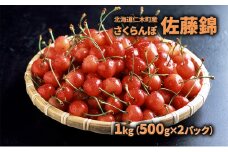 先行受付 北海道 仁木町産  さくらんぼ 佐藤錦 1kg（500g×2パック） 旬の果物 産地直送 旬のフルーツ サクランボ チェリー フルーツ 果物 果物類  仁木町 仁木 [JA新おたる] 