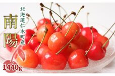 先行受付 北海道 仁木町産 さくらんぼ 南陽 1440g（180g×8パック）旬 厳選 蓋つき お裾分け おすすめ 美味しい  サクランボ チェリー フルーツ 果物 果物類  仁木町 仁木 [JA新おたる] 