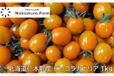 [野菜ソムリエサミット銀賞] この甘さフルーツ級?! ミニトマト 1kg ピッコラカナリア （オレンジ）北海道仁木町産 トマト 野菜 やさい おやつ [3N株式会社]