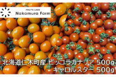 [野菜ソムリエサミット金賞・銀賞] ミニトマト 詰め合わせ 1kg ピッコラカナリア ・ キャロルスター 各500g 北海道仁木町産 野菜 やさい トマト おやつ セット お楽しみ [3N株式会社]