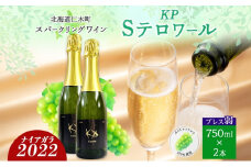 北海道産 スパークリング ワイン 750ml 2本 KPワイン Sテロワール ぶどう ナイアガラ 葡萄 ブドウ 白ワイン 辛口 酒 お酒 贈答 贈り物 お祝い ギフト 記念日 送料無料