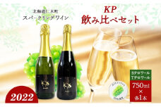北海道産 スパークリング ワイン 750ml 各1本 KPワイン T S テロワール ぶどう ナイアガラ 葡萄 ブドウ 白ワイン 辛口 酒 お酒 贈答 贈り物 お祝い ギフト 記念日 送料無料