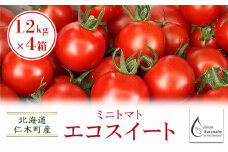 [先行受付/2025年産][栽培期間中 農薬・化学肥料不使用] 北海道 仁木町産 ミニトマト エコスイート 1.2kg×4箱 サイズ混載 トマト野菜 やさい  [Farm Watanabe]