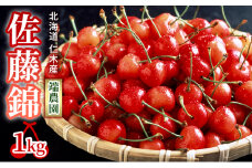 北海道 仁木町産さくらんぼ 佐藤錦 1kg（500g×2パック） 北海道知事賞受賞農園 デザート スイーツ 最優秀賞 おすすめ 美味しい サクランボ チェリー フルーツ 果物 果物類 ギフト 仁木町 仁木 [端農園]